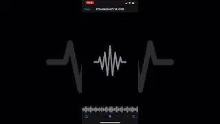 KTS Walkdown -rare snippet