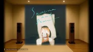 One Fine Spring Day(그리운 봄날) - Savina & Drones [PMC Ob1i signature]