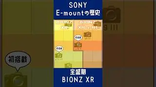 SONY E-mountの歴史【全盛期 BIONZ XR】