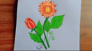 How to draw beutiful flower drawing step by Step @RafatSuperart / fool ka Chitra /Pencil drawing 