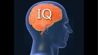 IQ TEST #iqtest #motivation #subscribe #love #mudaboxingtv #wisdom