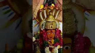 🙏 Chilukanagar⚜️ Bonalu special vibe Ammavaru  ⚜️💫🔱🕉🙏🙏🙏 #telugu #viral