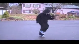 Monkey shuffle
