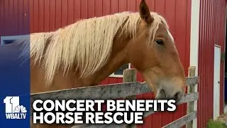 Bluegrass concert celebrates horse rescue's new healing barn