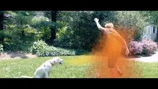 FIRE BREATHING DOG!