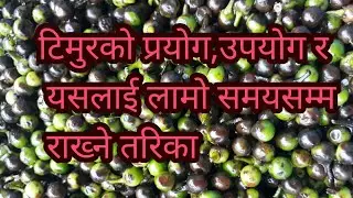 how to use  and fresh stock Siltimur.