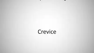 How to say Crevice in English?