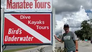 Bird's Underwater Swim With Manatees, Scallop and Dive Tours