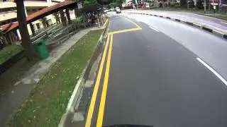 Professional drivers