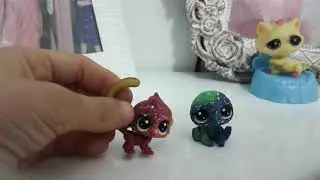 KOZMİK miniş tanıtım videosu-Lps kıvırcık tvz-miniş videoları izle