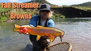 Wisconsin Brown Trout fishing { Driftless region fly fishing }