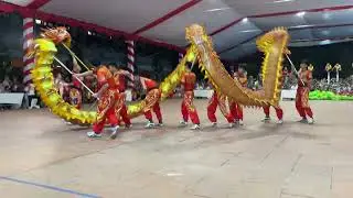 Múa Rồng Tự Chọn - Đoàn Lân  Sư Rồng Tỉnh Nam Định