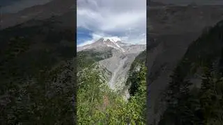 Lush forests and majestic mountains of Rainier National Park is giving me a sense of adventure!