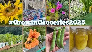 The lifting garden series: Seed Starting with My Sister 🌿✨ | #growingroceries2025