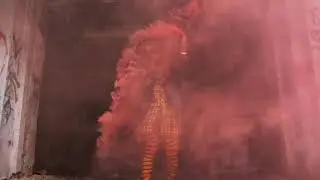 Jay F Kay : D.U.M.B.