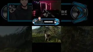 WE GOT FEEDERS
