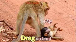 Poor baby monkey screaming loudly, kidnapper drag baby very hard,Tourist Monkey 4069