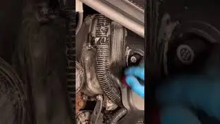 Midnight engine bay detail satisfying