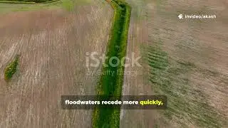 🌊 Impact of Floods on Agriculture in Our State | Sustainable Water Management Solutions 🌾