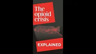 The Opioid Crisis Explained... #Shorts