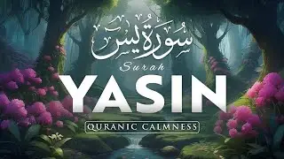 Surah Yaseen سورة يس | Relaxing Lofi Quran for Sleep & Inner Peace #quranforsleep