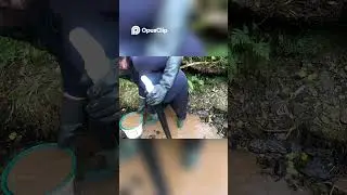 Gold Rush Finding Shiny Treasure!