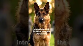 Million-Dollar Dogs? The 'Super Gene' Qualifications Required for US Military Working Dogs (MWD)