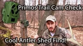 Primos Proof 01 Trail Cam Check and Awesome Shed Find!