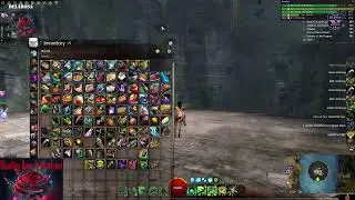 Guild Wars 2 : Raid Training