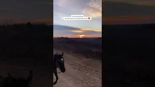 Winter trail ride ❄️