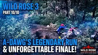 2025 - Wild Rose 3 (Part 10)