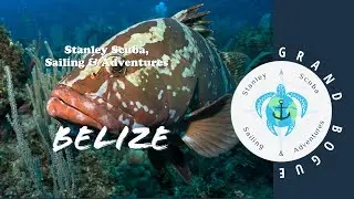 Scuba Belize, 2021, Grand Bogue, Turneffe Atoll