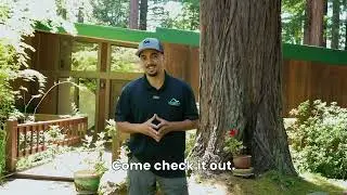 Spotlight Roofing | Flat Roof Replacement in Woodside, CA