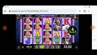 100 CATS SLOT (FREE SPINS, BIG WIN) #egt
