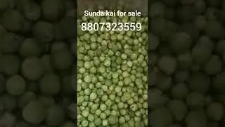 #sundaikaiforsale#sundaikai#food#sale#fooditem