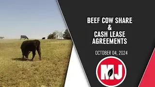 Beef Cow Share and Lease Agreements | October 04, 2024