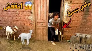 كنا هنتحبس بسبب صاحبي الي فاقد الذاكره طلع حرامي ( بيسرق معيز🐐)😂