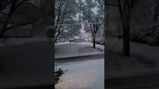 Winter wonderland in Hamilton, Il