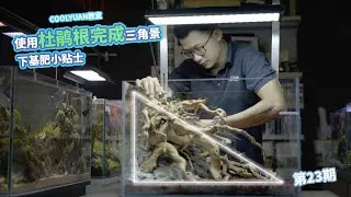 使用杜鹃根完成三角景与下基肥小贴士ep23