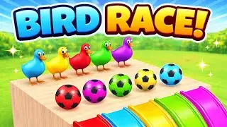 The duck playing soccer turned into an animal