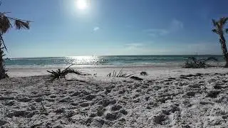 Shell Key Preserve Beach Sounds - 1 Hour Nature Escape | Florida's Hidden Gem