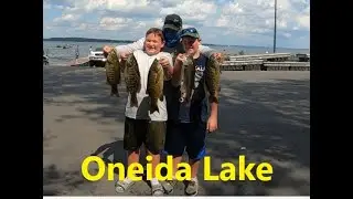 Oneida Lake Bass Tournament HVBA #6 2020 Team Morgan pulls of a win on a tough day with 14.21 lbs .
