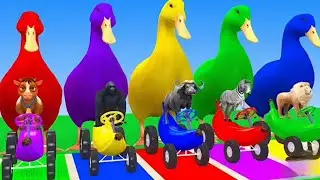 Long Slide Game with Cow Elephant Buffalo Hippopotamus Gorilla tiger🐯🐅🐃#viral #viralvideo 