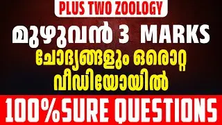 PLUS TWO ZOOLOGY | ALL IMPORTANT 3 MARK QUESTIONS! | RAYS EDUCATION