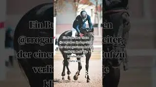 Spicy MM Reitsport-Romance #horse #bookbites #heatedrivalry #queerbooktok #equestrian #mmromance #mm