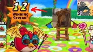 How did I get this streak?! (Angry Birds Fight: WebPit) 
