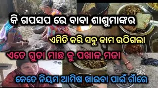 କି ଗପସପ ରେ ବାବା ଶାଶୁମାଙ୍କର/ଏମିତି କରି ସବୁ କାମ ଉଠିଗଲା/ଏତେ ଗୁଡା ମାଛ କୁ ପଖାଳ@kalpanaupadhyay2329