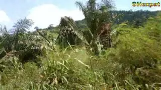 Road to Koftown (from Somanya) - Part 3