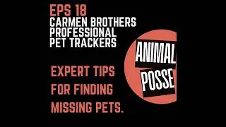 Lost Pet Recovery: Expert Tips from Professional Pet Trackers