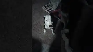 West Dallas 214- I caught Korby Snoring to the World again.